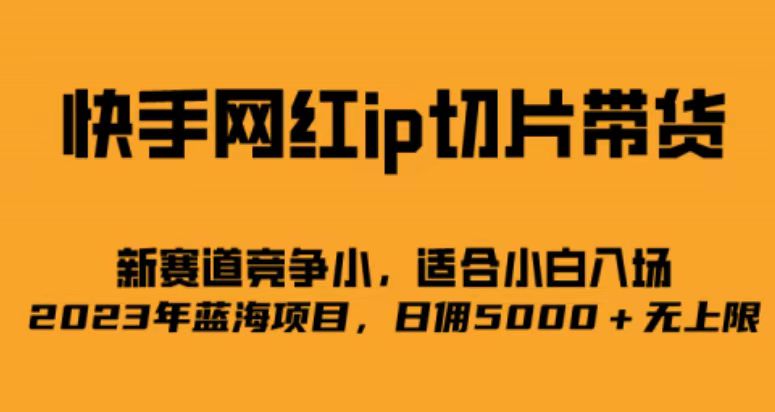 快手网红ip切片新赛道，竞争小事，适合小白 2023蓝海项目-AI网创