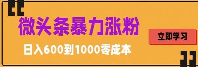 微头条暴力涨粉技巧搬运文案就能涨几万粉丝，简单0成本，日赚600-AI网创