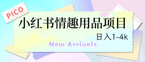 最新小红书情趣用品项目，日入1-4k-AI网创