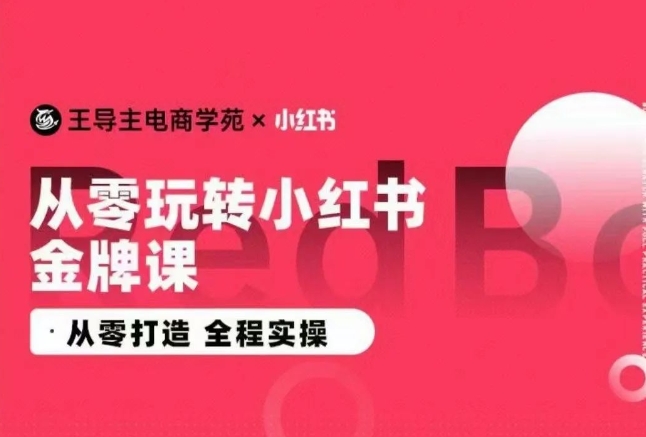 王导主·小红书电商运营实操课，​从零打造  全程实操-AI网创