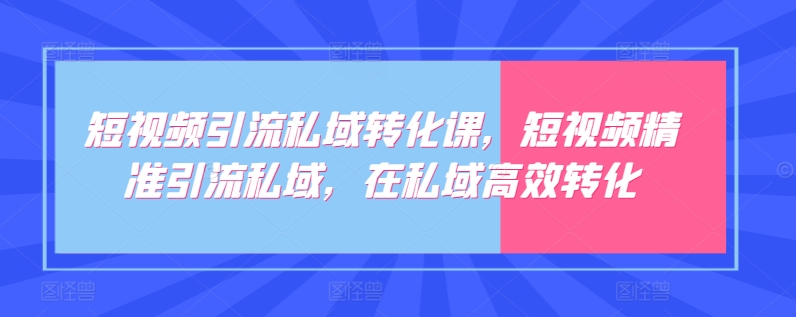 短视频引流私域转化课，短视频精准引流私域，在私域高效转化-AI网创