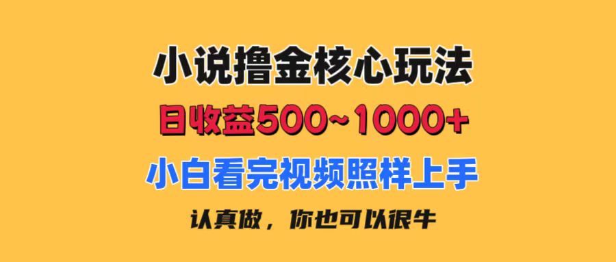 小说撸金核心玩法，日收益500-1000+，小白看完照样上手，0成本有手就行-AI网创