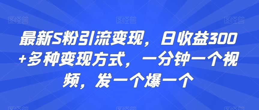 最新S粉引流变现，日收益300+多种变现方式，一分钟一个视频，发一个爆一个【揭秘】-AI网创