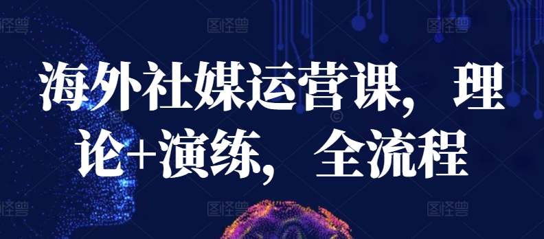 海外社媒运营课，理论+演练，全流程-AI网创