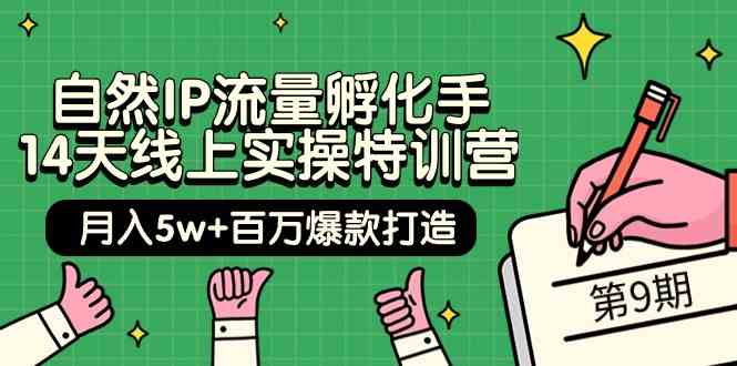 （9881期）自然IP流量孵化手 14天线上实操特训营【第9期】月入5w+百万爆款打造 (74节)-AI网创