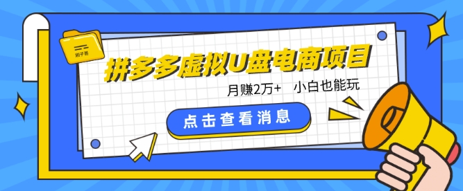 拼多多虚拟U盘电商红利项目：月赚2万+，新手小白也能玩-AI网创