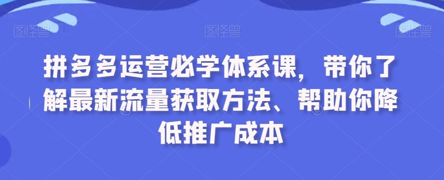 拼多多运营必学体系课，带你了解最新流量获取方法、帮助你降低推广成本-AI网创