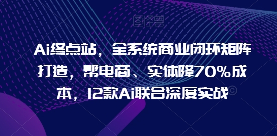 Ai终点站，全系统商业闭环矩阵打造，帮电商、实体降70%成本，12款Ai联合深度实战-AI网创