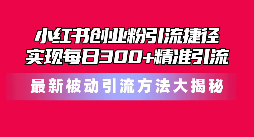 （10692期）小红书创业粉引流捷径！最新被动引流方法大揭秘，实现每日300+精准引流-AI网创