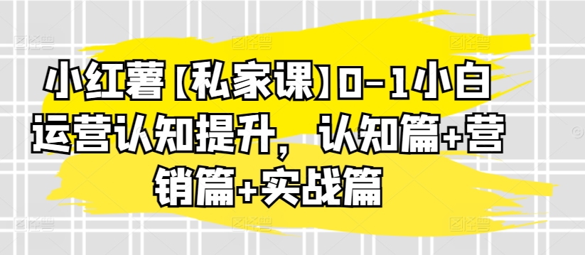 小红薯【私家课】0-1小白运营认知提升，认知篇+营销篇+实战篇-AI网创