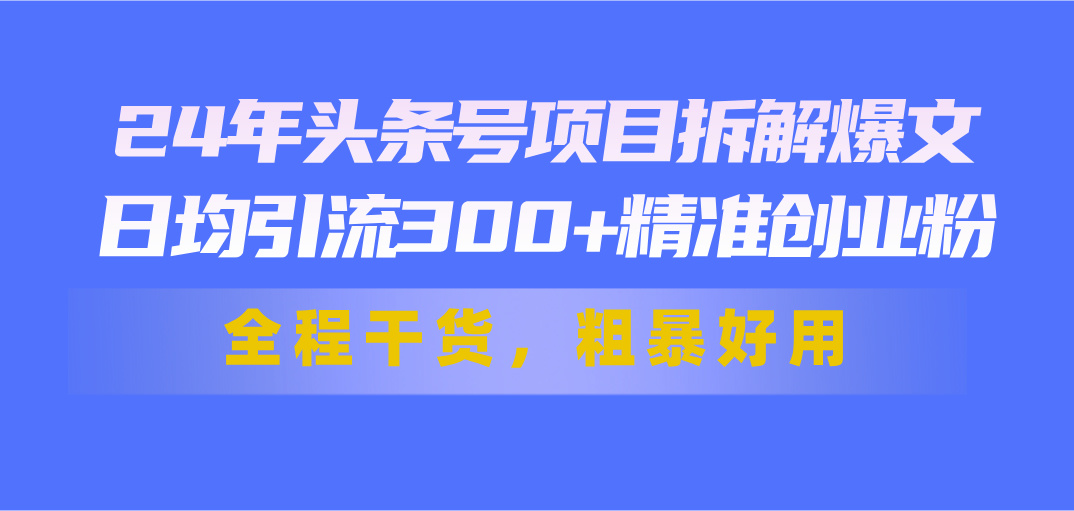 24年头条号项目拆解爆文，日均引流300+精准创业粉，全程干货，粗暴好用-AI网创