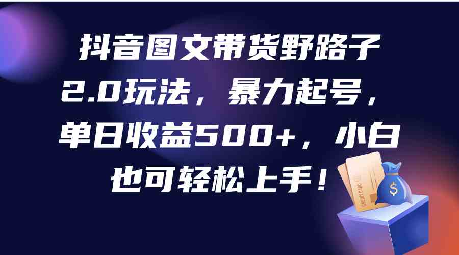 （9790期）抖音图文带货野路子2.0玩法，暴力起号，单日收益500+，小白也可轻松上手！-AI网创