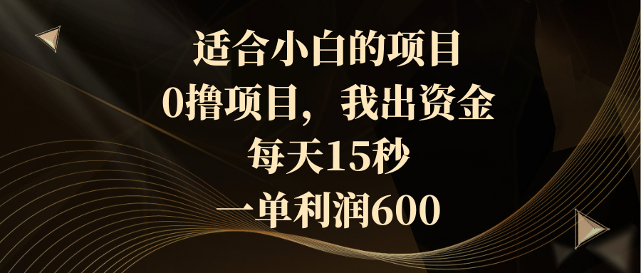 适合小白的项目，0撸项目，我出资金，每天15秒，一单利润600-AI网创