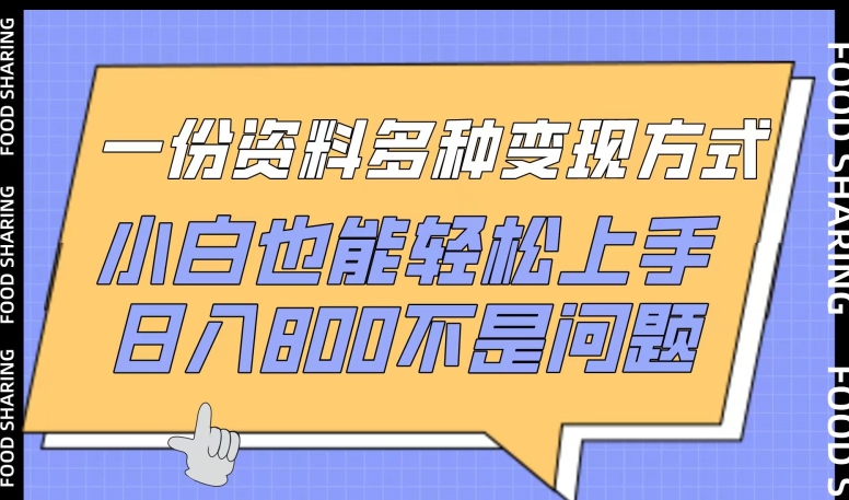 一份资料多种变现方式，小白也能轻松上手，日入800不是问题-AI网创
