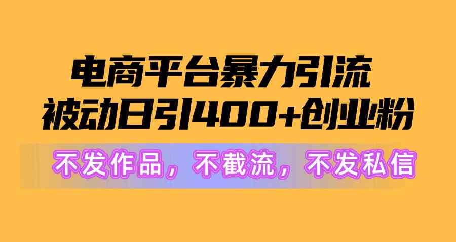 （10168期）电商平台暴力引流,被动日引400+创业粉不发作品，不截流，不发私信-AI网创