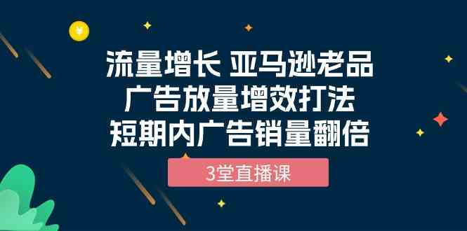 （10112期）流量增长 亚马逊老品广告放量增效打法，短期内广告销量翻倍（3堂直播课）-AI网创