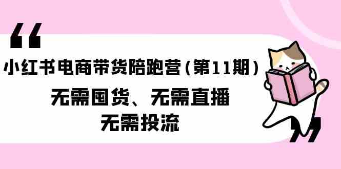 （9996期）小红书电商带货陪跑营(第11期)无需囤货、无需直播、无需投流（送往期10套）-AI网创