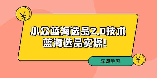 （9189期）拼多多培训第33期：小众蓝海选品2.0技术-蓝海选品实操！-AI网创