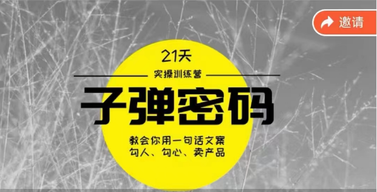 《子弹密码训练营》用一句话文案勾人勾心卖产品，21天学到顶尖文案大师策略和技巧-AI网创