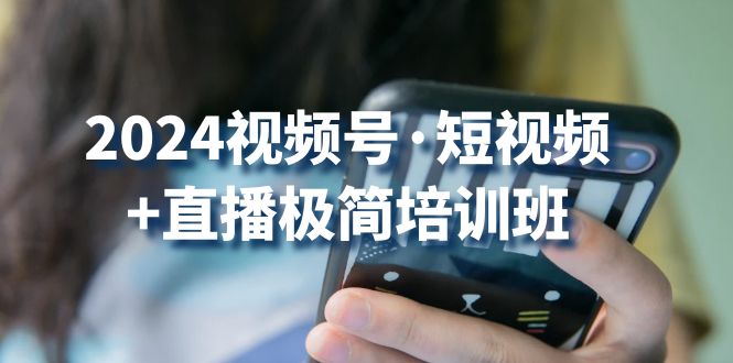 2024视频号短视频+直播极简培训班：抓住视频号风口，流量红利-AI网创