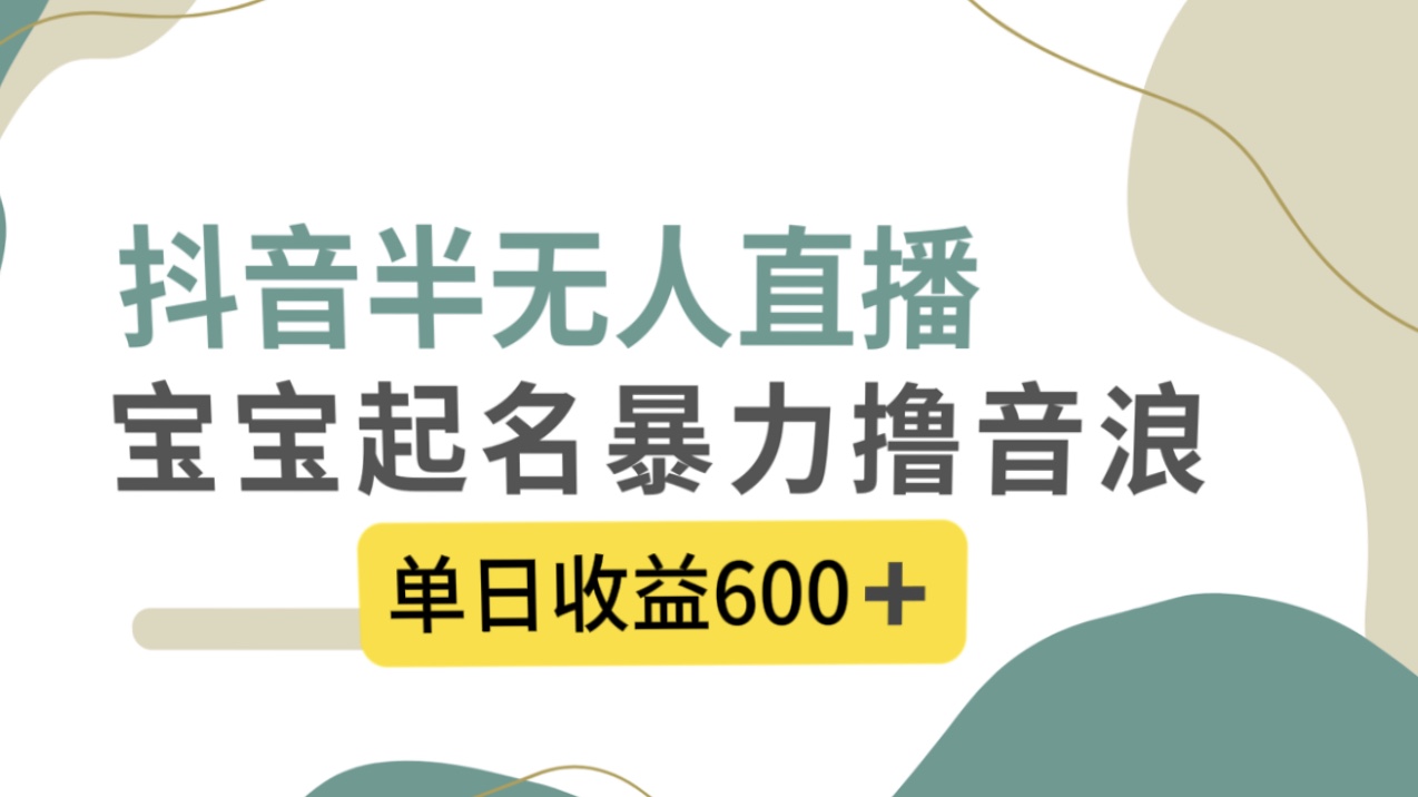 抖音半无人直播，宝宝起名，暴力撸音浪，单日收益600+-AI网创