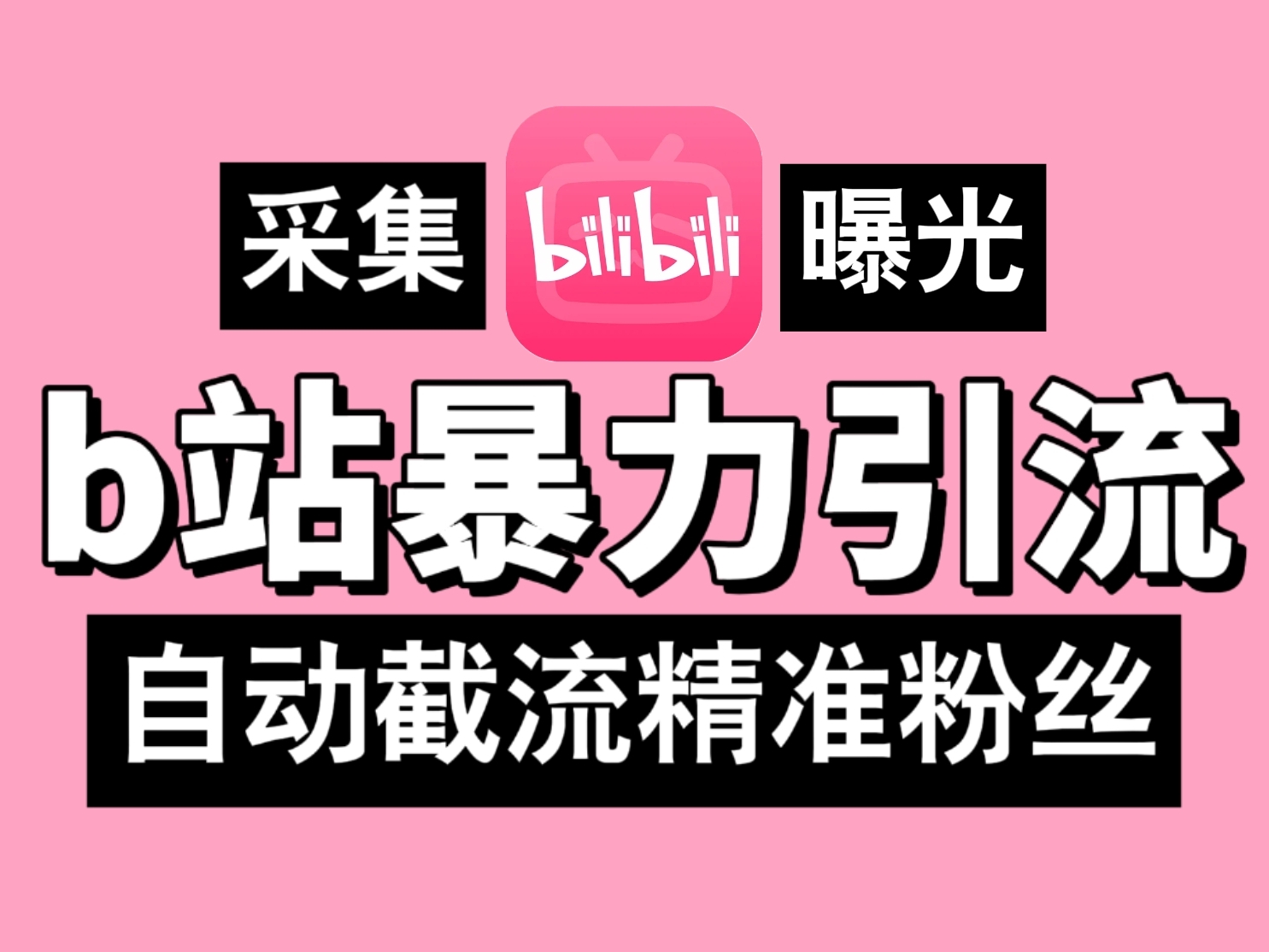 B站暴力引流机，日引300+精准粉，全行业通用！-AI网创