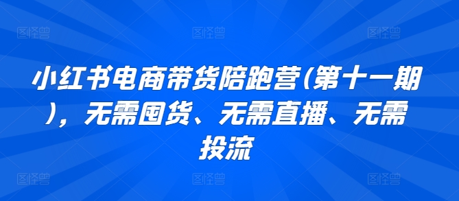 小红书电商带货陪跑营(第十一期)，无需囤货、无需直播、无需投流-AI网创