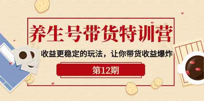 养生号带货特训营【12期】收益更稳定的玩法，让你带货收益爆炸（9节直播课）-AI网创