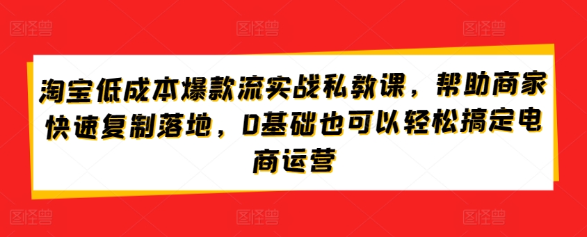 淘宝低成本爆款流实战私教课，帮助商家快速复制落地，0基础也可以轻松搞定电商运营-AI网创