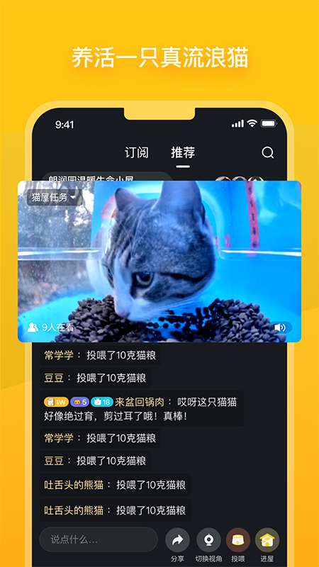 哈啰街猫app-AI网创