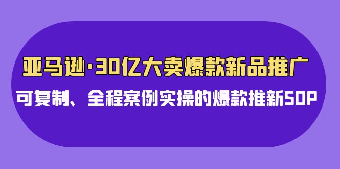 亚马逊30亿大卖爆款新品推广，可复制、全程案例实操的爆款推新SOP-AI网创