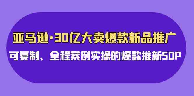 （9944期）亚马逊30亿·大卖爆款新品推广，可复制、全程案例实操的爆款推新SOP-AI网创