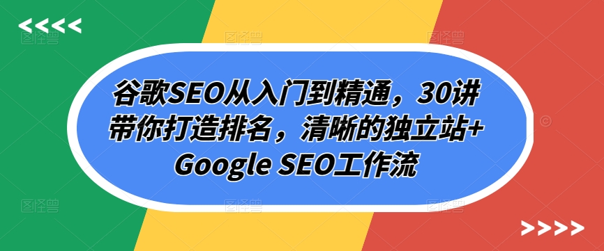 谷歌SEO从入门到精通，30讲带你打造排名，清晰的独立站+Google SEO工作流-AI网创