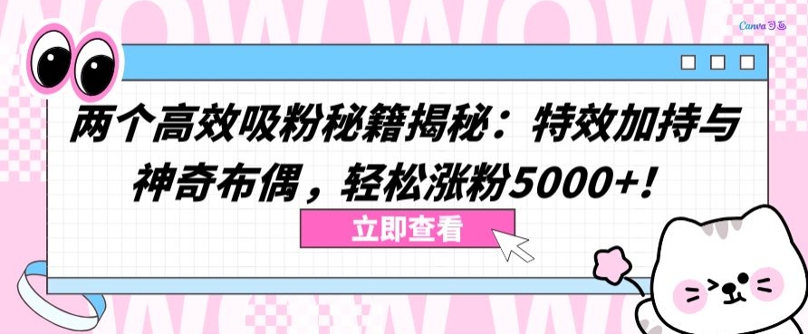两个高效吸粉秘籍揭秘：特效加持与神奇布偶，轻松涨粉5000+-AI网创