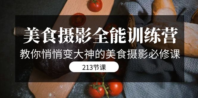 美食摄影-全能特训营，教你悄悄变大神的美食摄影必修课（8套课程-213节）-AI网创