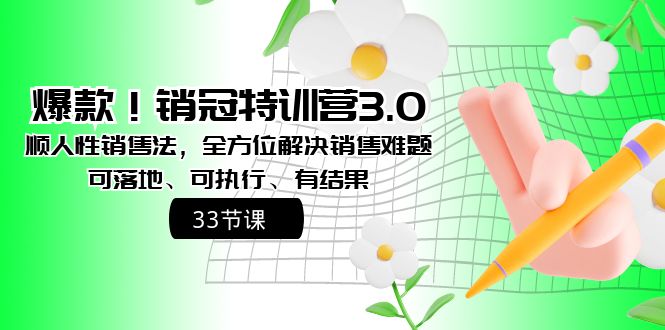 爆款！销冠特训营3.0之顺人性销售法，全方位解决销售难题、可落地-AI网创