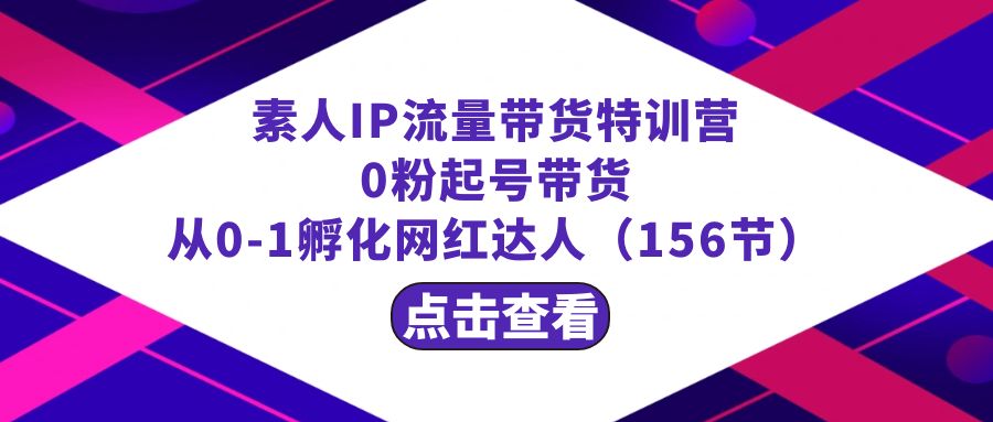 繁星·计划素人IP流量带货特训营：0粉起号带货 从0-1孵化网红达人（156节）-AI网创