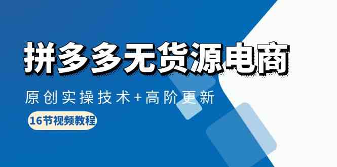 （10015期）拼多多无货源电商，原创实操技术+高阶更新（16节视频教程）-AI网创