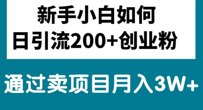 （10843期）新手小白日引流200+创业粉,通过卖项目月入3W+-AI网创