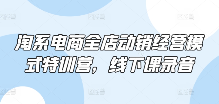 淘系电商全店动销经营模式特训营，线下课录音-AI网创