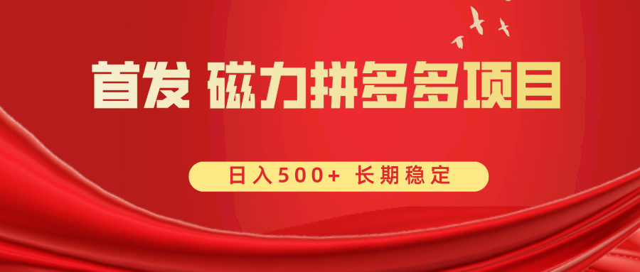 首发 磁力拼多多自撸 日入500+-AI网创