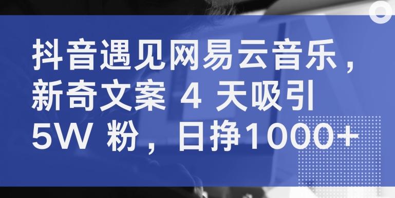 抖音遇见网易云音乐，新奇文案 4 天吸引 5W 粉，日挣1000+-AI网创