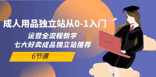 （10082期）成人用品独立站从0-1入门，运营全流程教学，七大好卖成品独立站推荐-6节课-AI网创