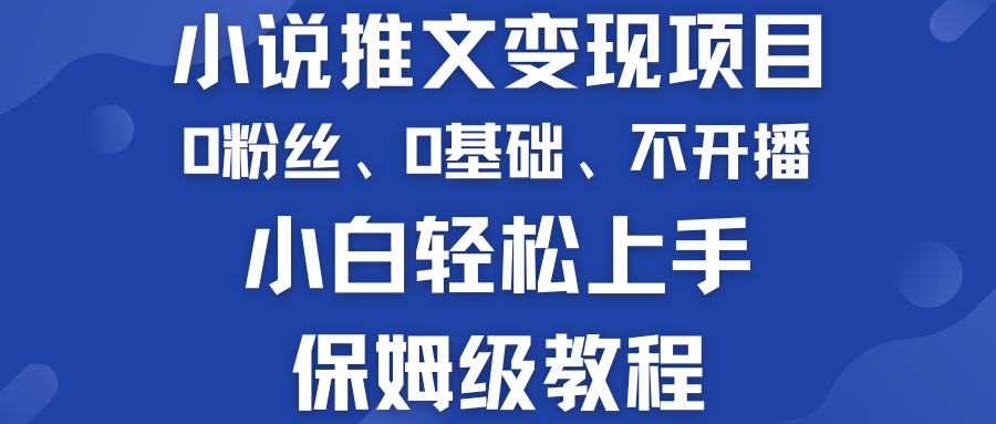 小说推文变现项目 0基础 不开播 小白轻松上手 保姆级教程-AI网创
