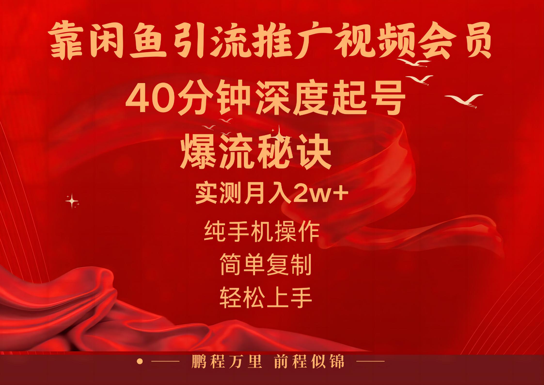 闲鱼暴力引流推广视频会员，能做到日入2W+，操作简单-AI网创