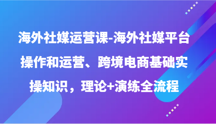 海外社媒运营课-海外社媒平台操作和运营、跨境电商基础实操知识，理论+演练全流程-AI网创