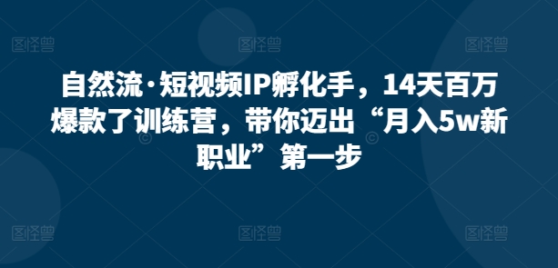 自然流·短视频IP孵化手，14天百万爆款了训练营，带你迈出“月入5w新职业”第一步-AI网创