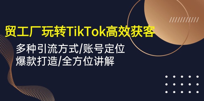 外贸工厂玩转TikTok高效获客，多种引流方式/账号定位/爆款打造/全方位讲解-AI网创