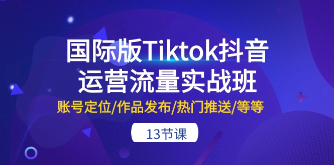 （10712期）国际版Tiktok抖音运营流量实战班：账号定位/作品发布/热门推送/等等-13节-AI网创