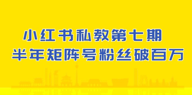 (10650期）小红书-私教第七期，小红书90天涨粉18w，1周涨粉破万 半年矩阵号粉丝破百万-AI网创